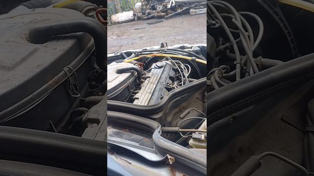 Разборка Mercedes - 124 1984-1993, 3 (VIN: WDB1240502B691511) 77317 смотреть онлайн