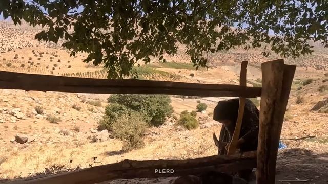 ??? Empowering Women: Strength In The Face Of Hardship ???