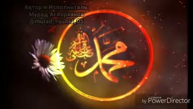 «Нашид о Пророке ﷺ » смотреть онлайн