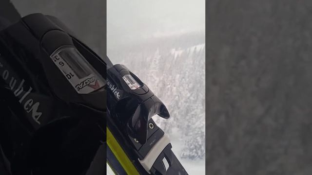 Интерьерные открытия