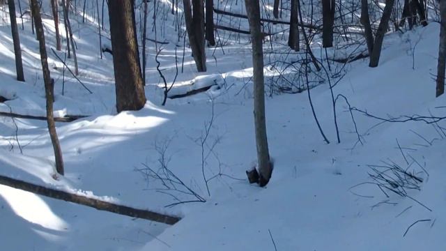 Improvisation on sliders and regulators of d.p. Casio PX-5S "Where do they take snow from Zarechny? смотреть онлайн