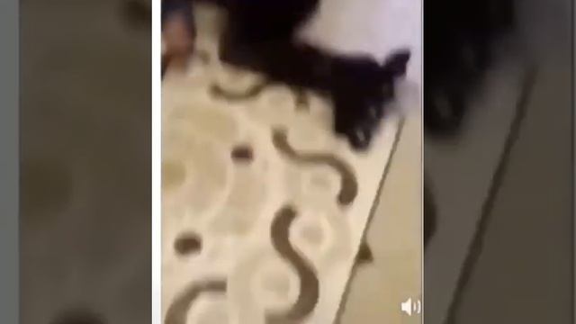 Киселёчек смотреть онлайн