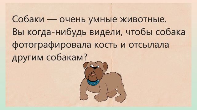 СМЕШНЫЕ АНЕКДОТЫ ? ФИМА, КАК ЖИЗНЬ?? смотреть онлайн