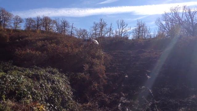 нива на кама Flame вещи делает )))