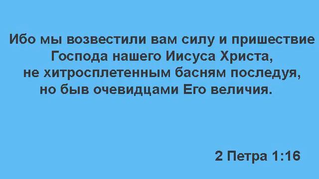 Ответы 