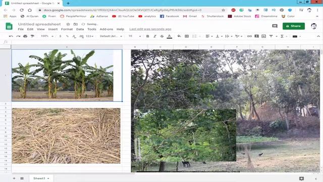 How to Delete and Reset image size from Sheets in Google Spreadsheet смотреть онлайн