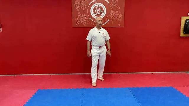 Ицюань (558 день) Обзор столбовой практики / Яншен Чжуан / Цзицзи Чжуан / Специальные столбы