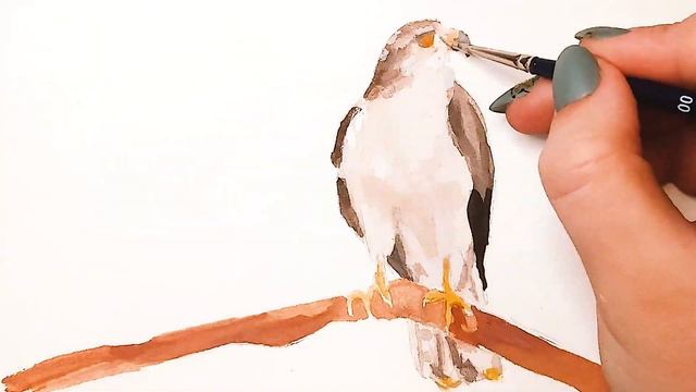 Ястреб-Тетеревятник-Самый Распространенный из Семейства Ястребов! Рисуем Акварелью! Легко и Просто! смотреть онлайн