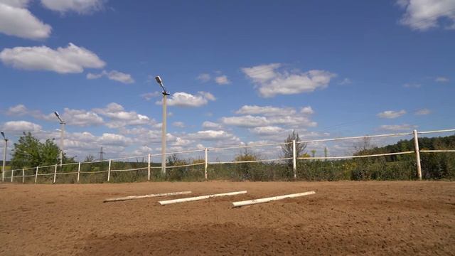 сюжет подготовка к соревнованиям по конкуру смотреть онлайн