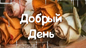 Добрый День! Самое Лучшее Пожелание!