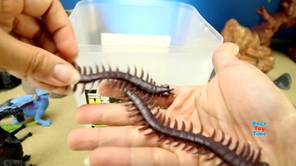 Animal Planet Insects Monsters Creatures Toy Collection + Scolopendra Spider Scorpion Toys For Kids