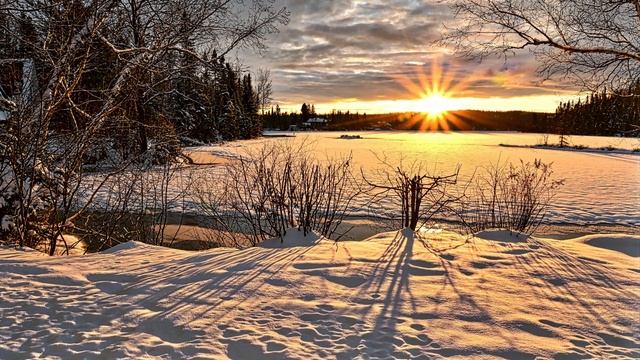 Евангелие дня 11 февраля 2023 с толкованием. Апостол дня. Жития Святых. смотреть онлайн