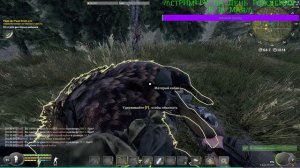 Will To Live Online КЛЫКИ МАТЕРЫХ КАБАНОВ