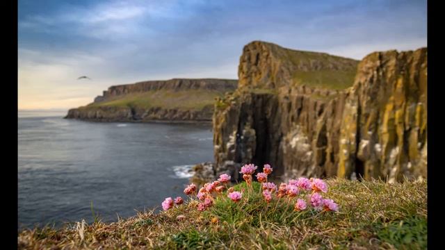 Roy Fuller Symphony #4, 4th Movement (The Quest for Life) смотреть онлайн