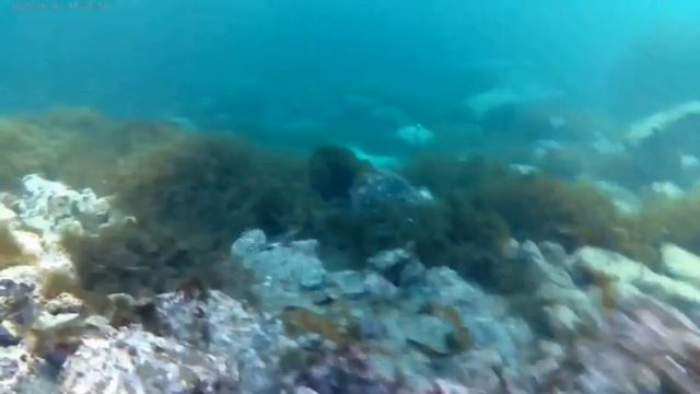 Космос в море смотреть онлайн