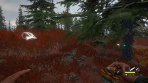 Охота на карибу в The Hunter Call of the Wild (Yukon Valley)