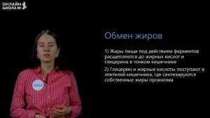 Обмен веществ и энергии. Видеоурок 24. Биология 8 класс
