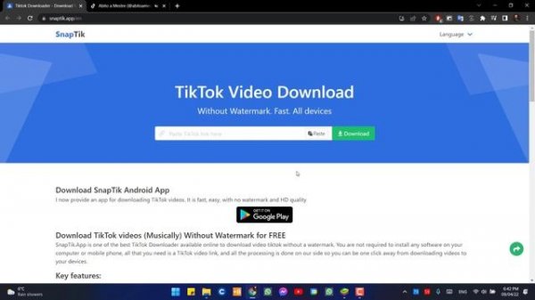 Download TikTok video without Watermark (PC Version)