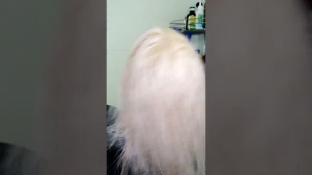 Идеальный блонд без порошка | Inebrya и Londa | #shorts смотреть онлайн