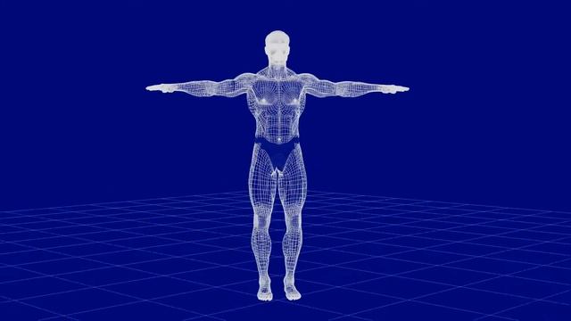 Reverse_Engineering_Human_Body смотреть онлайн