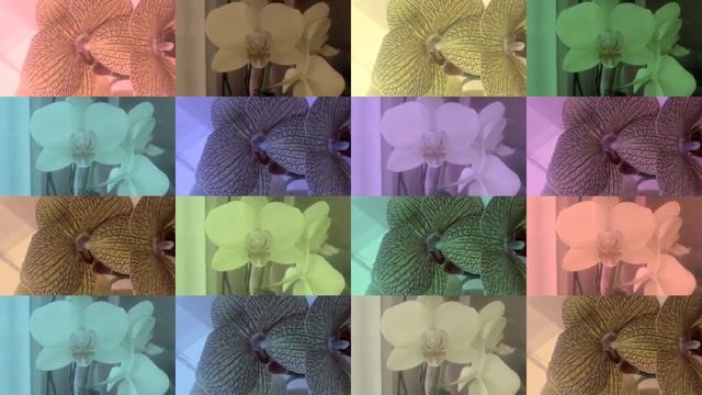 Благодарность любимому смотреть онлайн