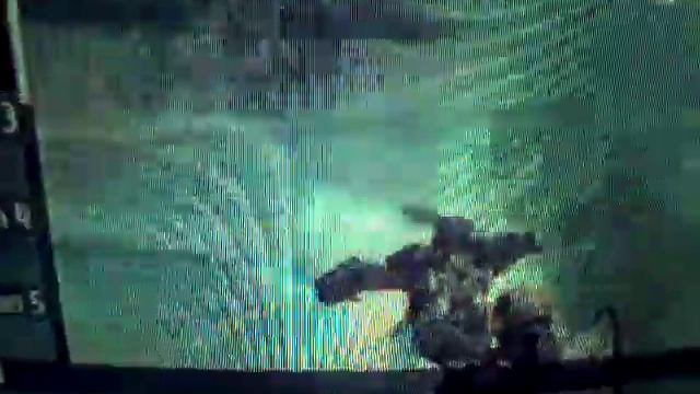 Earth Defense Force Insect Armageddon Glitch смотреть онлайн