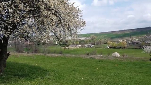 Мы вам желаем счастья...