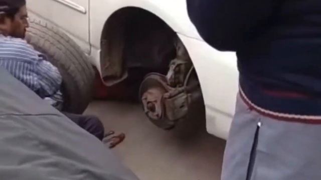 Toyota Corolla SE brake disc | AUTOKING.PK | AMIR AUTO PARTS смотреть онлайн