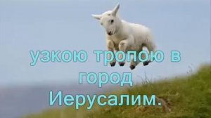 Я маленькая овечка / По горам высоким...