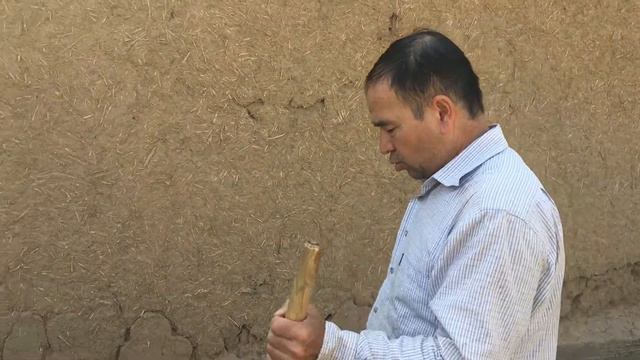 Пион гулларини кўчириш маслахатлари #1 смотреть онлайн