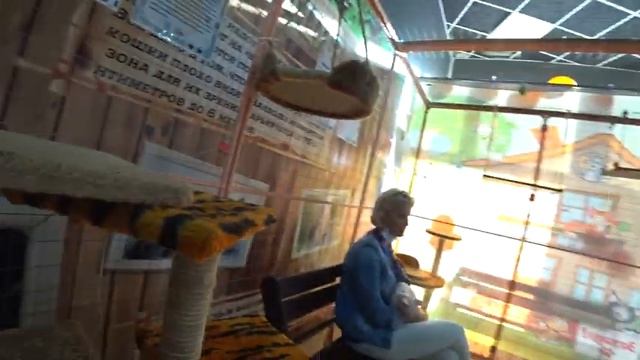 АДЛЕР.. ВЫСТАВКА КОШЕК .. В ГОСТЯХ У ГЕВОРГА .. смотреть онлайн