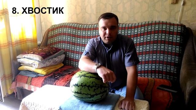 Как выбрать ПРАВИЛЬНЫЙ АРБУЗ: спелый и сладкий смотреть онлайн