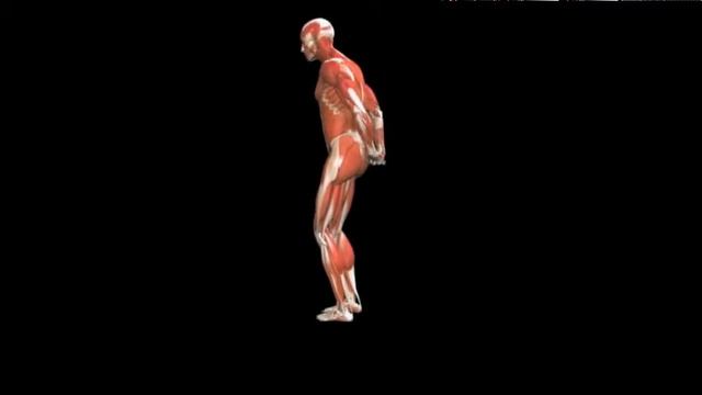 Растяжка плеча стоя Upper Arm Stretch Standing смотреть онлайн