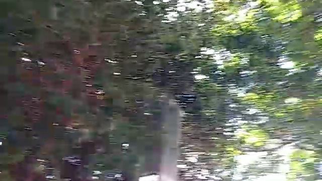 СКВЕР С ВИДОМ НА МОРЕ И НА ПЛОЩАДЬ В АНТАЛИИ !ЧИСТЫЙ ВОЗДУХ И ПОГОДА СУПЕР! смотреть онлайн