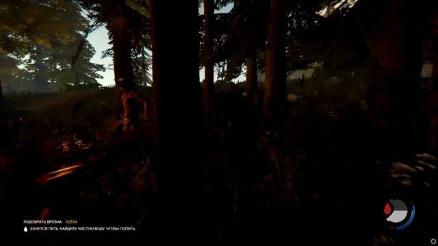 Как негроид и индус в "The Лес" выживали смотреть онлайн