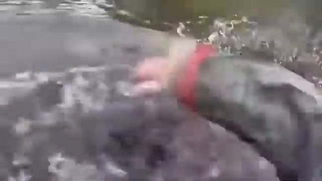 Хотел поймать рыбу, остался без лодки 18+ смотреть онлайн