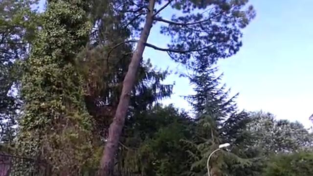 Адлер Краснодарский край, ул Ленина №19 смотреть онлайн