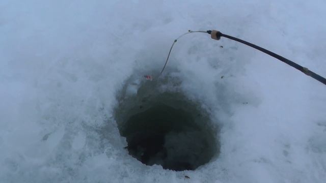 Начинаем сезон Зимняя рыбалка на чертика без мотыля смотреть онлайн