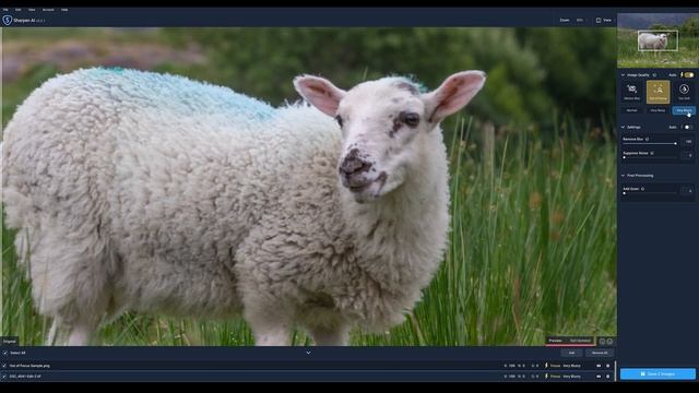 Topaz Sharpen AI Review And Tutorial, How Is This Real???