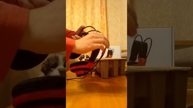 Нувушники MSI DS501 смотреть онлайн