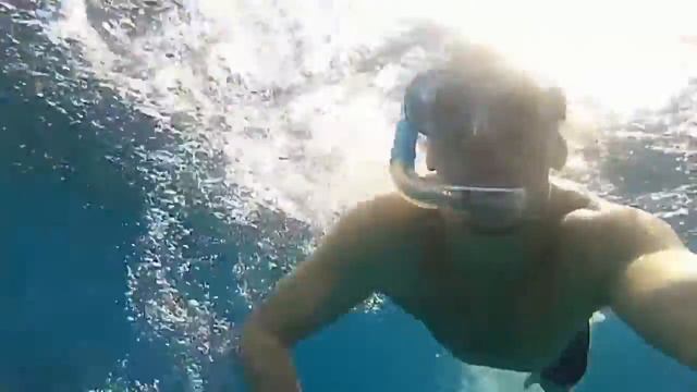 Sentido Reef Oasis Egypt смотреть онлайн