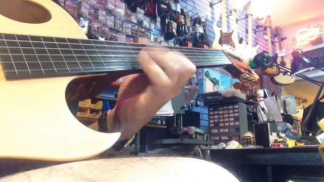 Washburn EACT42S Fretless Modification