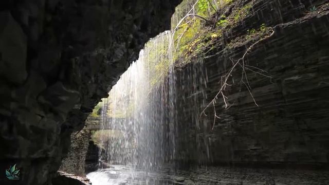 Música ayuda a relajar, calmar el sistema nervioso y calmar el alma, refrescando el alma смотреть онлайн
