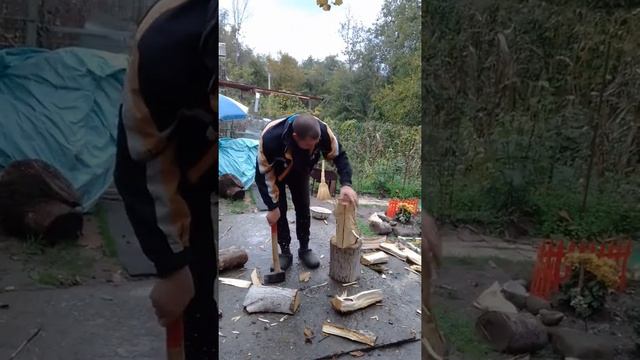 Как колется дерево грецкого ореха смотреть онлайн