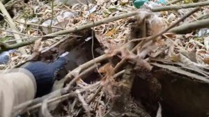 ВЕЛО ПОИСК МЕДИ И МЕТАЛЛОЛОМА ВОЗЛЕ ДАЧ БЕЗ МЕТАЛЛОИСКАТЕЛЯ. СБОР МЕТАЛЛОЛОМА КАК ЗАРАБОТАТЬ ДЕНЬГИ