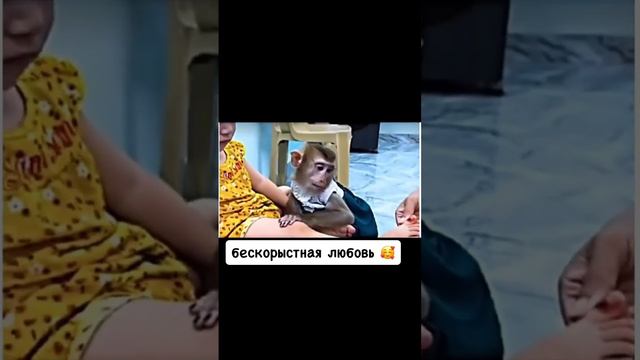 на помочь ребёнку. любовь какая 💜 смотреть онлайн
