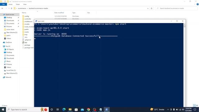 React E Commerce Project Part 1 Demo and Setup [ Urdu + Hindi ] смотреть онлайн