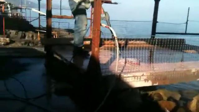 Рыба скат смотреть онлайн