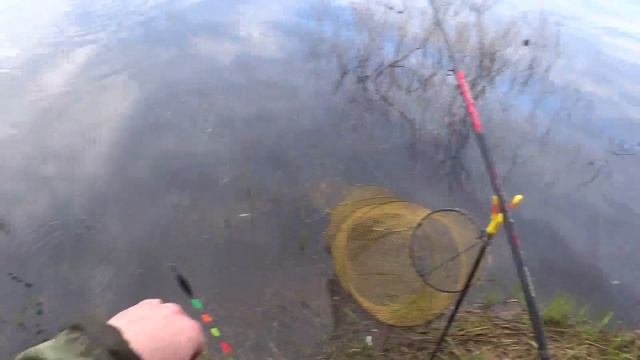 Ловля весенней плотвы на Рыбинском водохранилище смотреть онлайн
