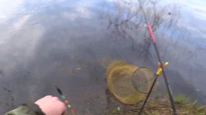 Ловля весенней плотвы на Рыбинском водохранилище